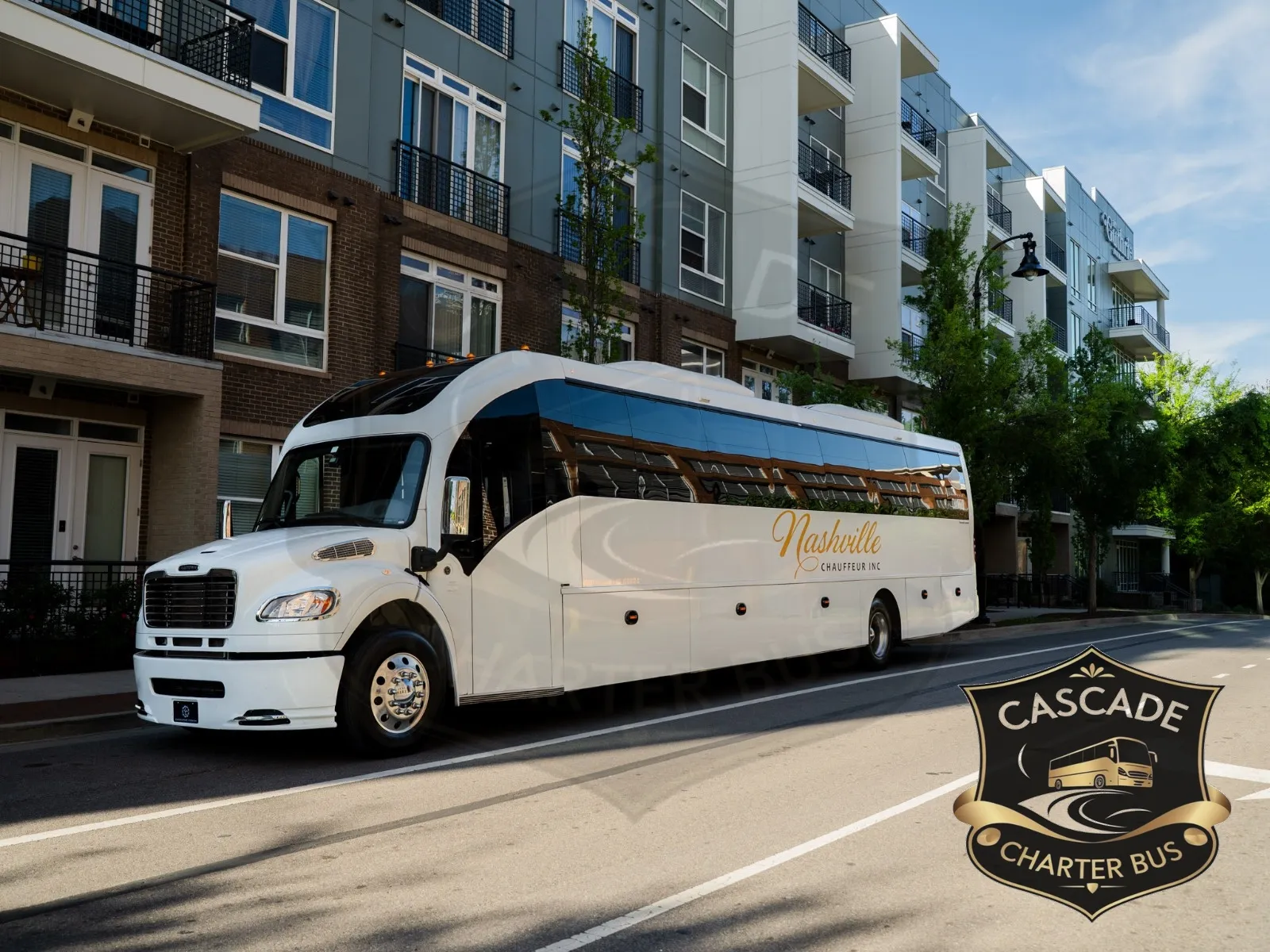 56-Passenger Luxury Motorcoach