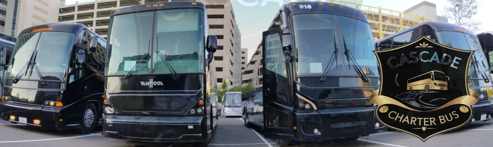 Charter bus rentals and bus services in davidson, NC